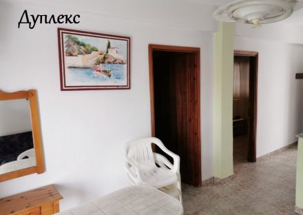 Gallery Thumbnail