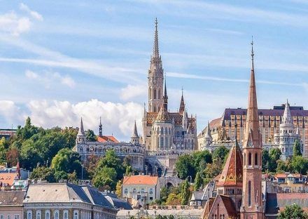 Gallery Thumbnail